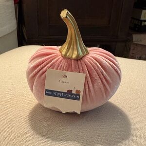 Mini Pink Velvet Pumpkin Decor